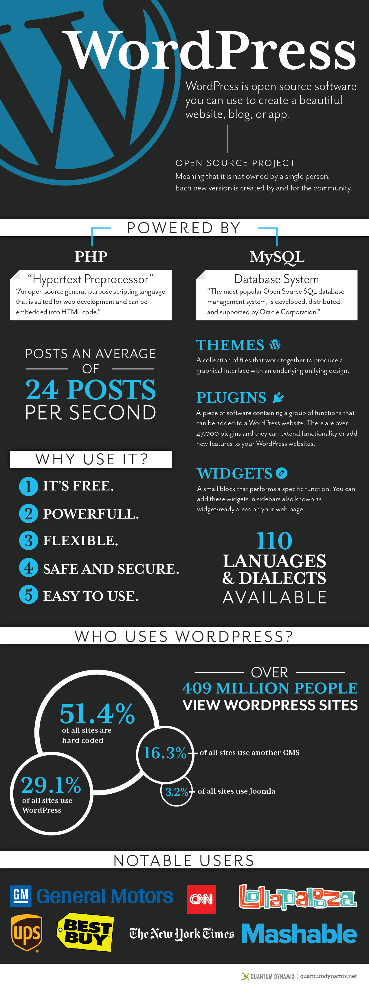 What is WordPress Infographic